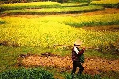 耕地上唯一住宅可以直接强拆吗？